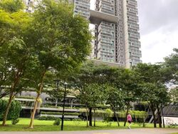 Blk 91 Skyterrace @ Dawson (Queenstown), HDB 4 Rooms #558864511